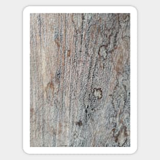 Rough wood texture Sticker